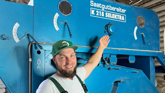 проработка и сортировка семян