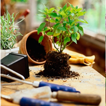 земля для цветов комнатных 10 литров - товары для фермеров Сила Суздаля