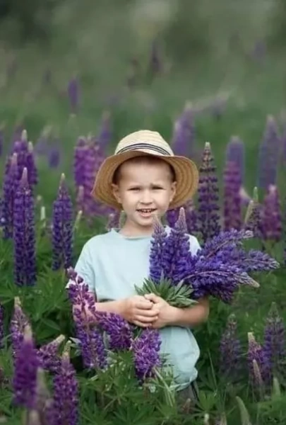 люпин многолетний 300 г.