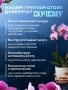 земля грунт для орхидей - товары для фермеров Сила Суздаля