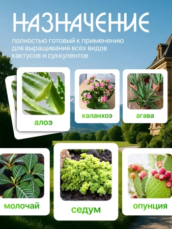 грунт для кактуса и суккулентов 2,5 л - товары для фермеров Сила Суздаля