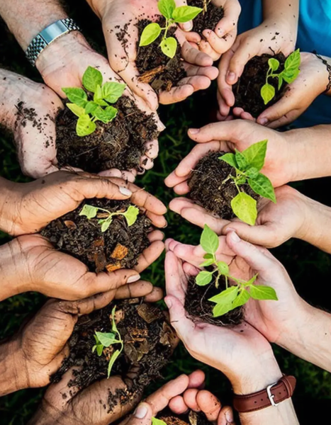 грунт для рассады универсальный 20 литров - товары для фермеров Сила Суздаля