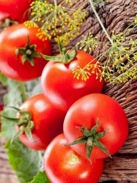 грунты для томатов и перцев, 10 литров - товары для фермеров Сила Суздаля