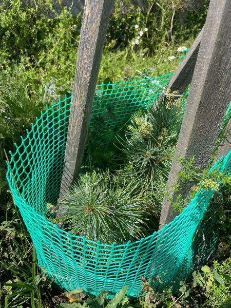 грунт для хвойных растений 50 литров - товары для фермеров Сила Суздаля