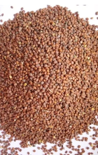 редька масличная сидерат 350 г