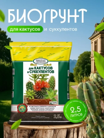 грунт для кактуса и суккулентов 2,5 л - товары для фермеров Сила Суздаля
