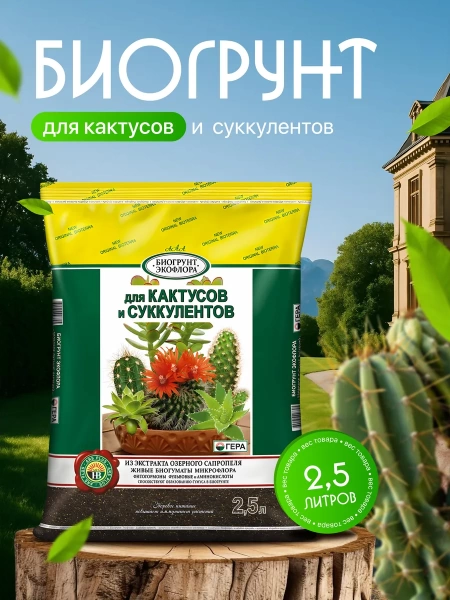 грунт для кактуса и суккулентов 2,5 л - товары для фермеров Сила Суздаля