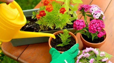 грунт для цветов универсальный - товары для фермеров Сила Суздаля