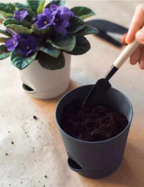 грунт для фиалки - товары для фермеров Сила Суздаля