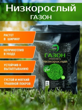 газонная трава низкорослая 3 кг с белым клевером - товары для фермеров Сила Суздаля