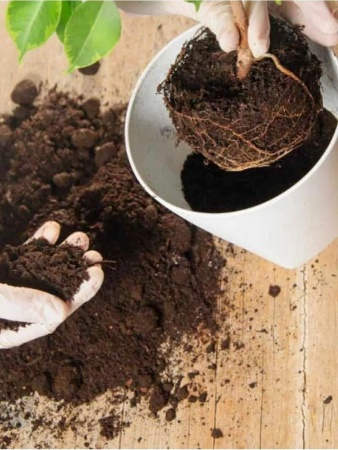 грунт для цветов универсальный, 20 литров - товары для фермеров Сила Суздаля