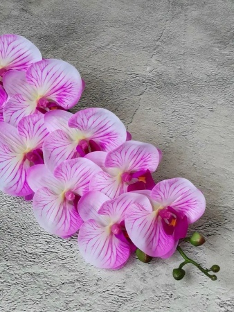 грунт для орхидей 5л - товары для фермеров Сила Суздаля