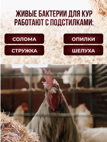 живые бактерии для курятника 500гр - товары для фермеров Сила Суздаля