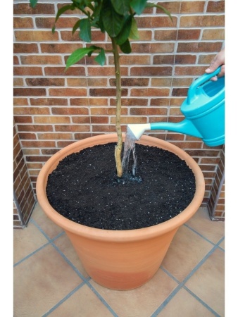 грунт для цитрусовых 5 - товары для фермеров Сила Суздаля