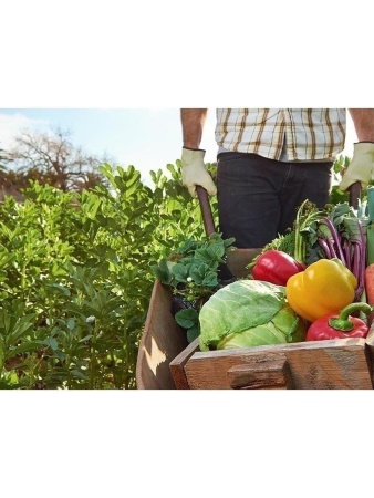 биогумус 50 л - товары для фермеров Сила Суздаля