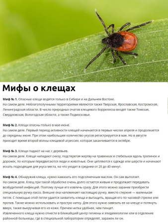 средство от клещей "клещевит супер" 100мл - товары для фермеров Сила Суздаля