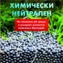 грунт для аквариума 5 кг - товары для фермеров Сила Суздаля