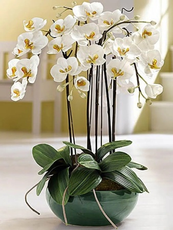 грунт для орхидей 5л - товары для фермеров Сила Суздаля