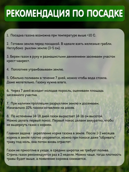 газонная травосмесь премиум 500 грамм - товары для фермеров Сила Суздаля
