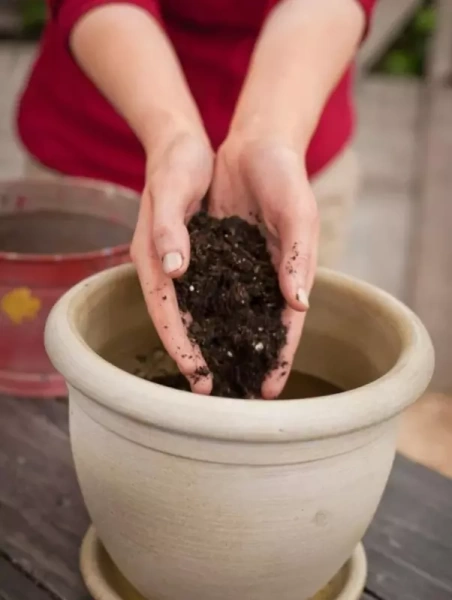 грунт для растений питательный универсальный, 50 л - товары для фермеров Сила Суздаля