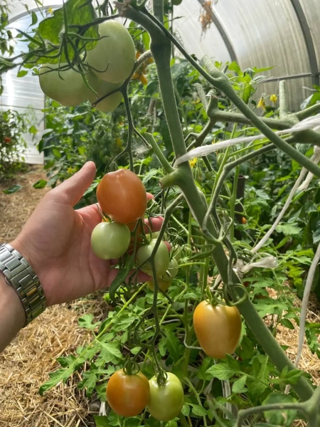 грунт для томатов и перцев, 5 литров - товары для фермеров Сила Суздаля