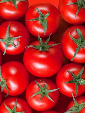 грунты для томатов и перцев, 10 литров - товары для фермеров Сила Суздаля