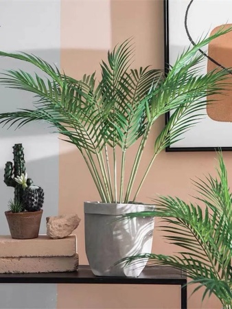 грунт для пальм и фикусов, сбалансированный питательный субстрат - товары для фермеров Сила Суздаля