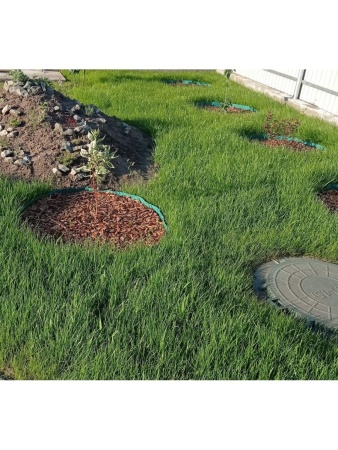 овсяница луговая, семена газона, многолетние, 1 кг - товары для фермеров Сила Суздаля