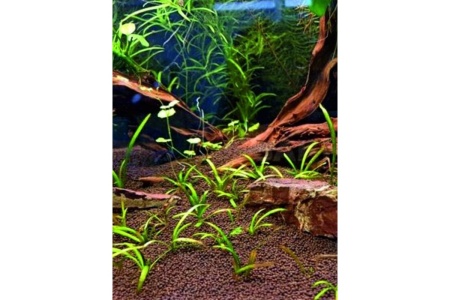 грунт для аквариума 10 кг - товары для фермеров Сила Суздаля