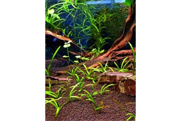 грунт для аквариума 10 кг - товары для фермеров Сила Суздаля