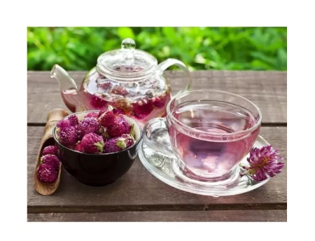 семена клевер красный 1 кг - товары для фермеров Сила Суздаля