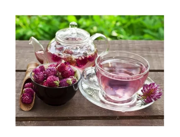 семена клевер красный 1 кг - товары для фермеров Сила Суздаля