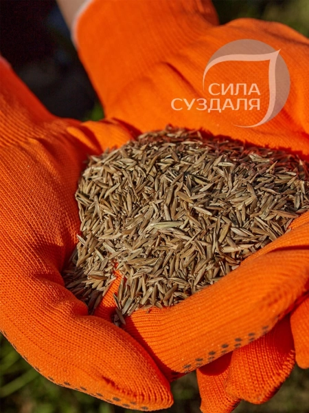 газонная трава низкорослая 3 кг с белым клевером - товары для фермеров Сила Суздаля