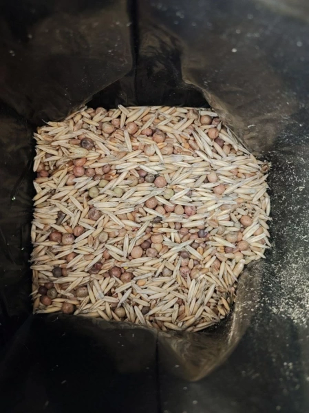 смесь сидератов универсальная 1 кг