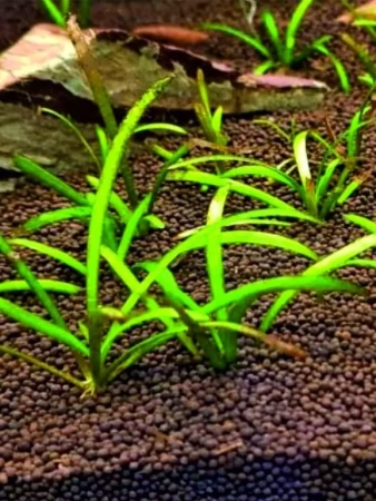 грунт для аквариума 3кг - товары для фермеров Сила Суздаля