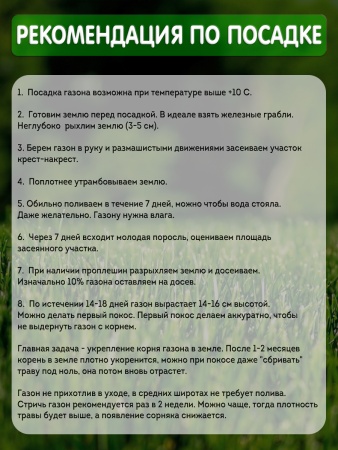 газон спортивный премиум 3 кг - товары для фермеров Сила Суздаля