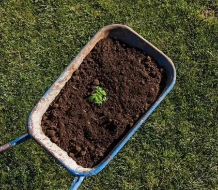 грунт для растений питательный универсальный, 50 л - товары для фермеров Сила Суздаля