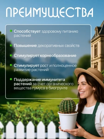 грунт для кактуса и суккулентов 2,5 л - товары для фермеров Сила Суздаля