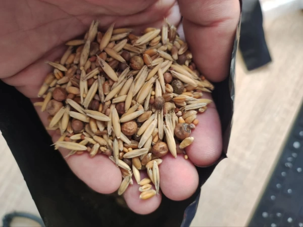 смесь сидератов универсальная 1 кг