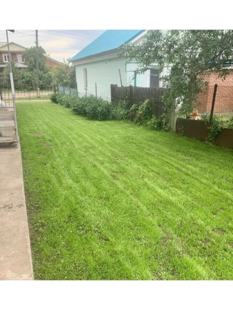 овсяница луговая, семена газона, многолетние, 1 кг - товары для фермеров Сила Суздаля