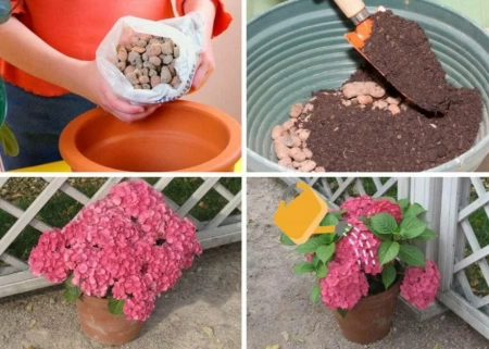 грунт для гортензий - товары для фермеров Сила Суздаля