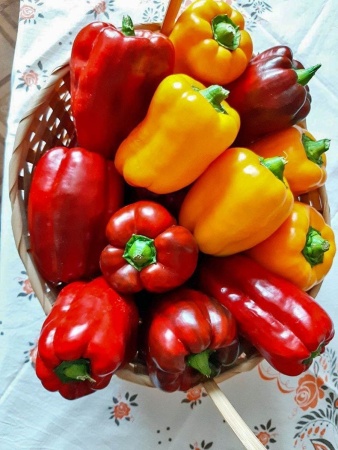 грунты для томатов и перцев, 10 литров - товары для фермеров Сила Суздаля