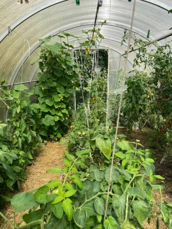 грунт для томатов и перцев, 5 литров - товары для фермеров Сила Суздаля